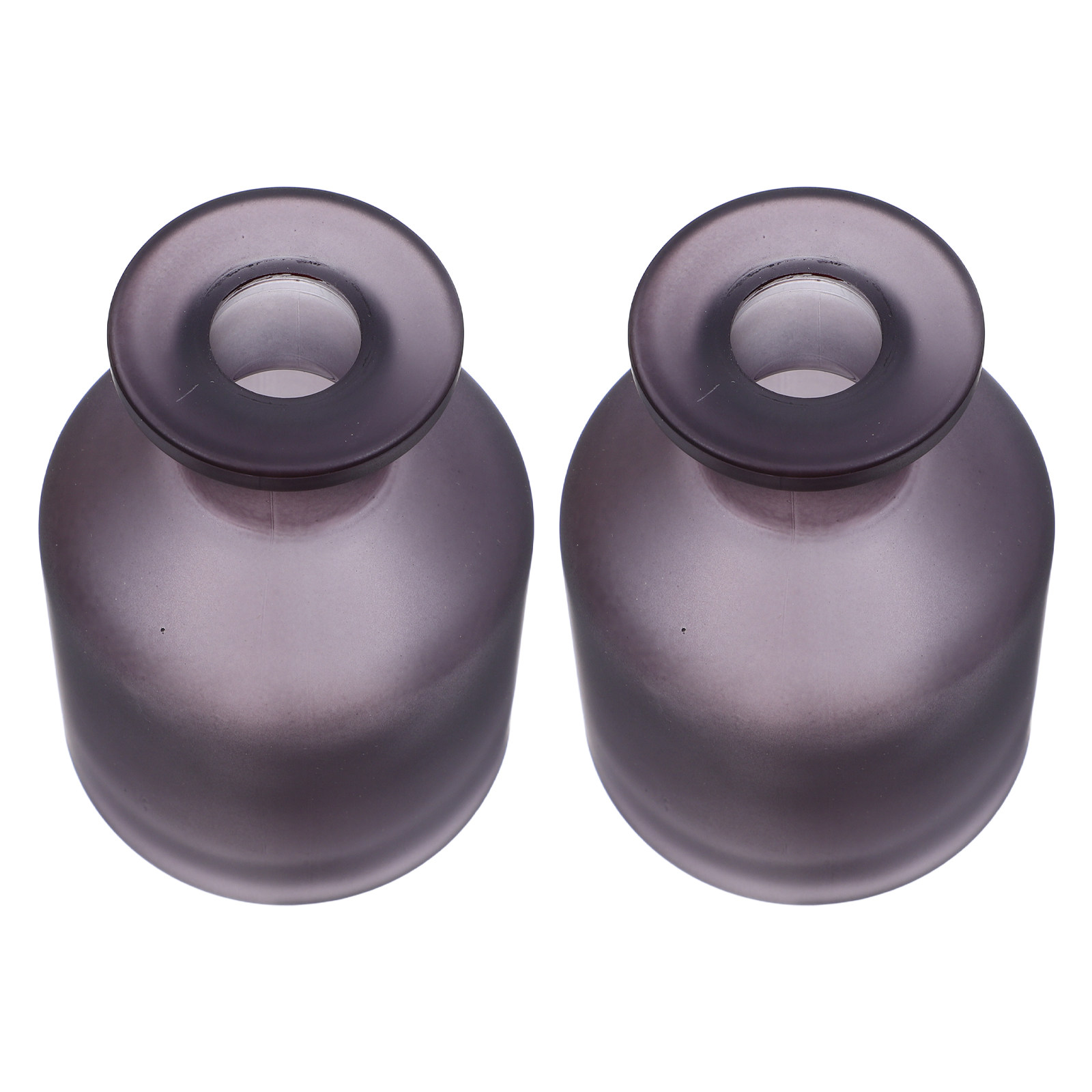 2 stuks glazen diffuserflessen - Reusable Bottle recensie en prijs