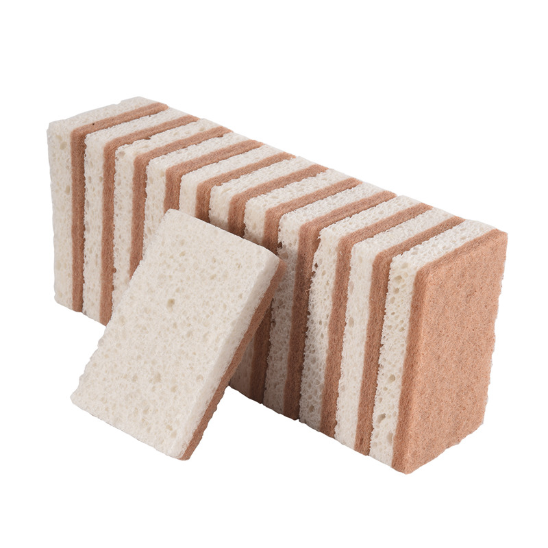 Eco-vriendelijke natuurlijke s - Eco Sponge recensie en prijs