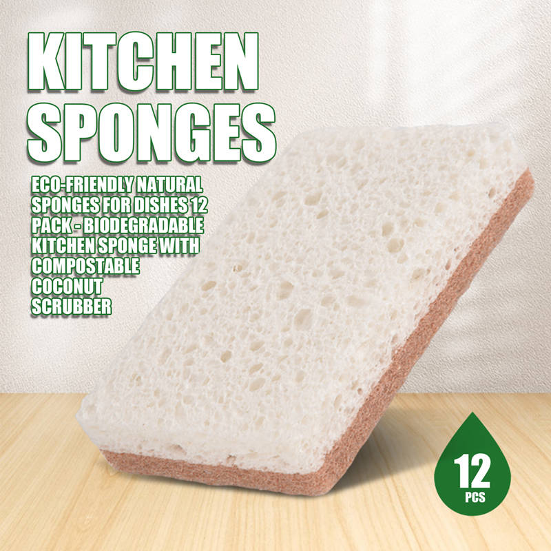 Eco-vriendelijke natuurlijke s - Eco Sponge recensie en prijs