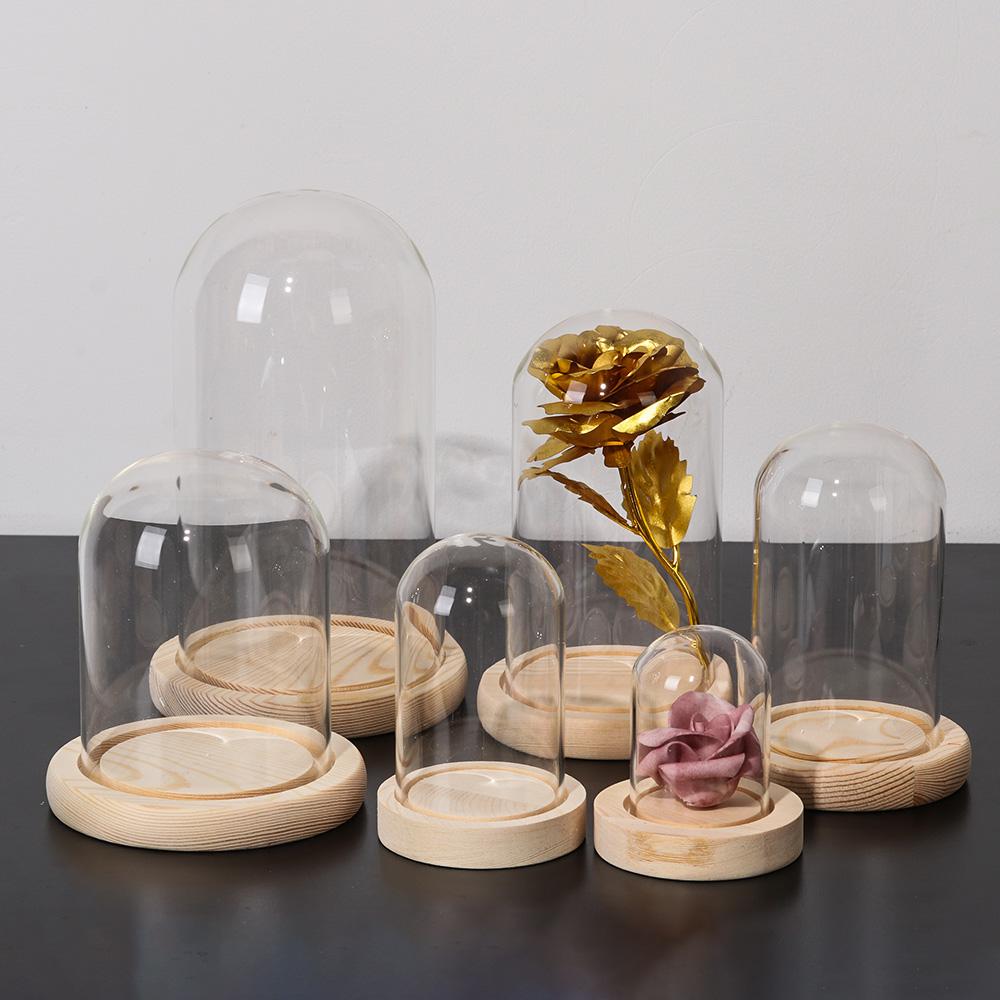 Terrarium Tafellampje met feeë - Reusable Bottle recensie en prijs